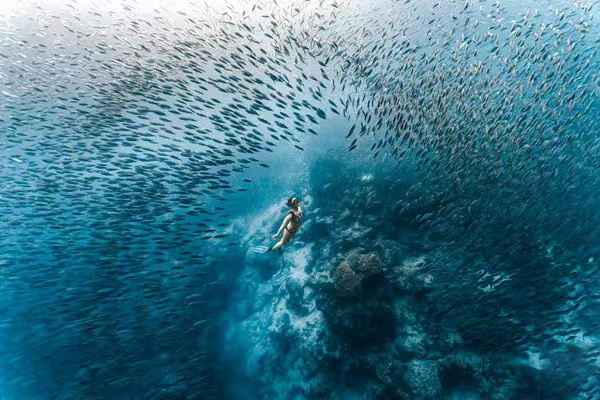 李艺（海南）《鱼群中穿行-Swim With Fish》.jpg